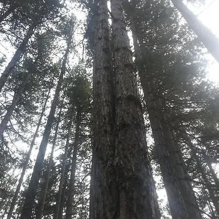 Le Stagioni Couette-café