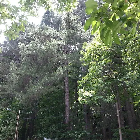 Le Stagioni Bed & Breakfast