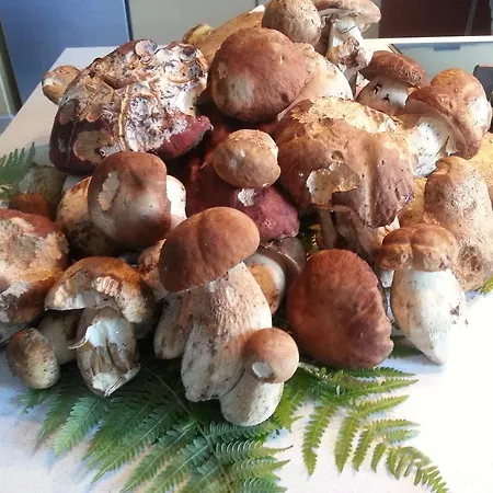 Le Stagioni Couette-café 3*