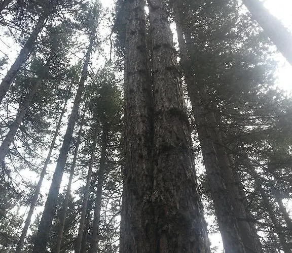 Le Stagioni Отель типа 