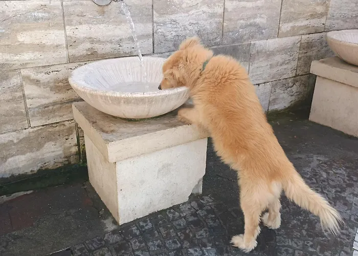 Le Stagioni Отель типа 