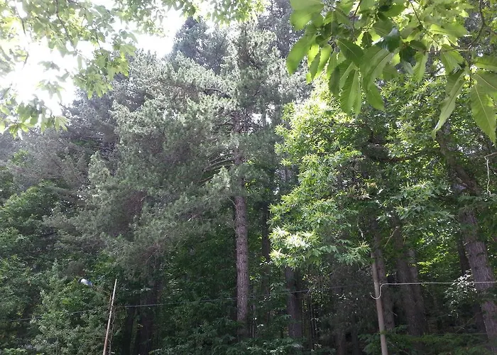 Le Stagioni Отель типа 