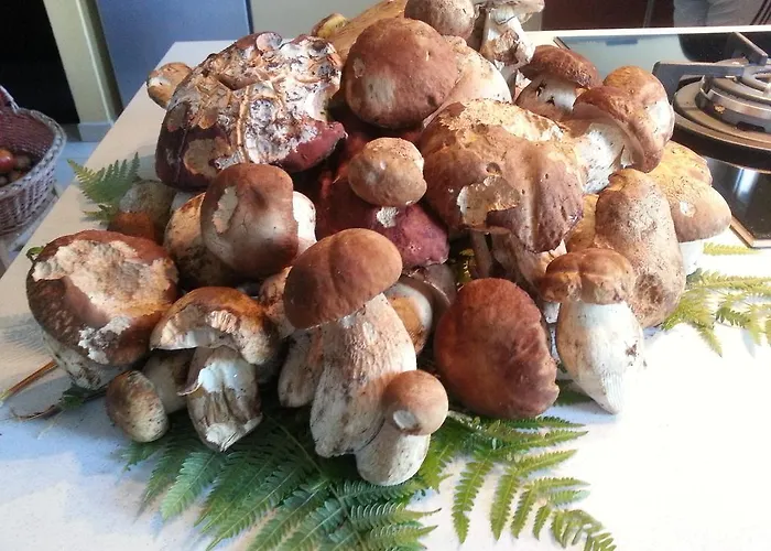 Le Stagioni Отель типа 