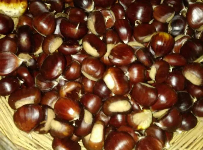 Le Stagioni 3* Spezzano della Sila